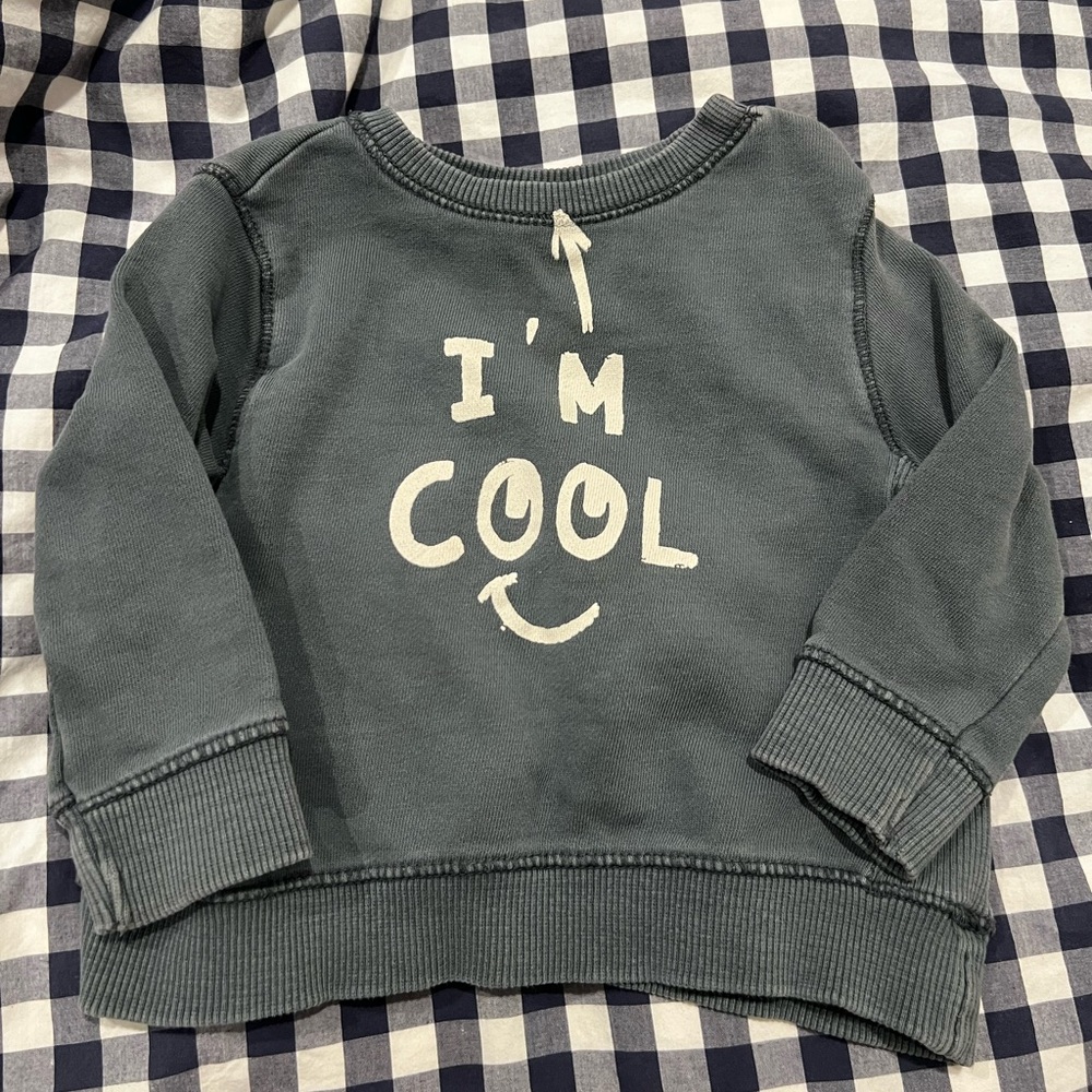 Zara sweatshirt baby